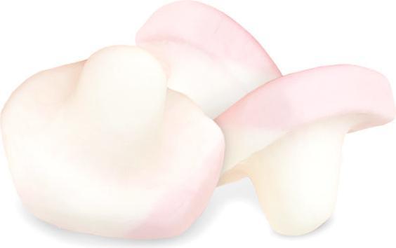 Produktbild RedBand Süsse Pilze (1 Stk., 875 g)