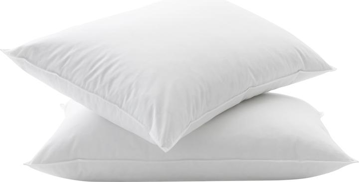 Immagine prodotto Billerbeck Standard 250 (65 x 100 cm)