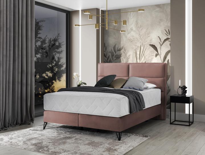 Roze Nube 24