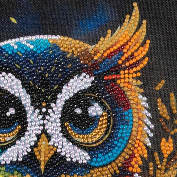 Image du produit Craft Buddy Hibou, 30x30cm Crystal Art Kit