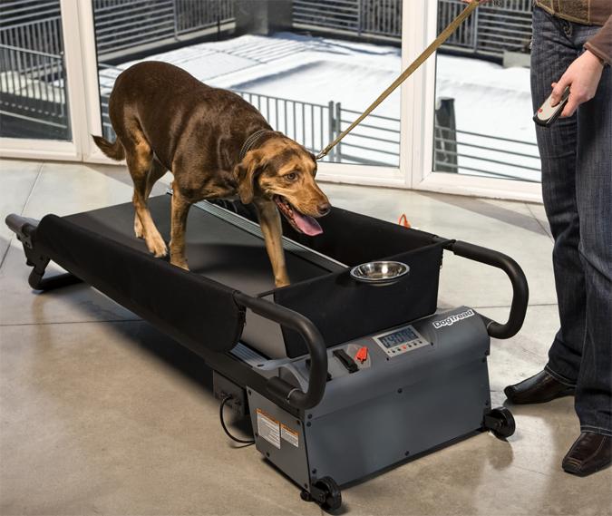 Produktbild FitPaws Dog Treadmill (M, Joggen)