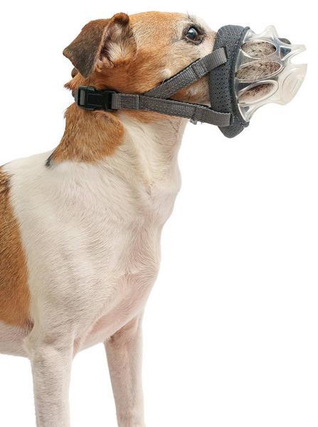 Actual product image Baskerville Muselière INVISA (4, Dog)