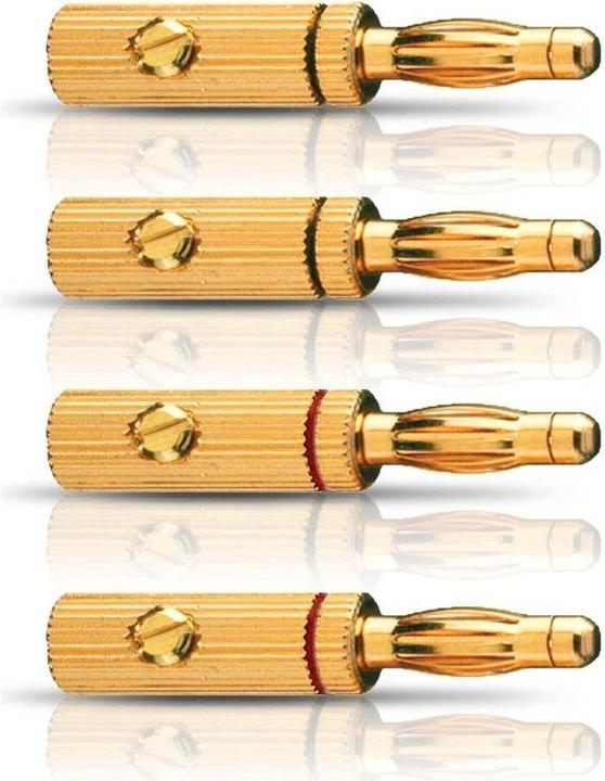 Actual product image Oehlbach Banana B3