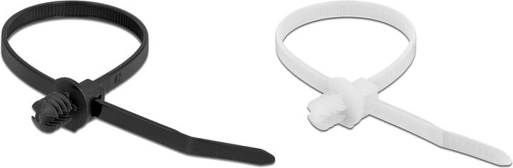 Image du produit Delock Attache-câbles avec pied lamellaire L 200 x L 4.8 mm 100 pièces (Serre-câbles velcro, 200 mm, 100 pcs)