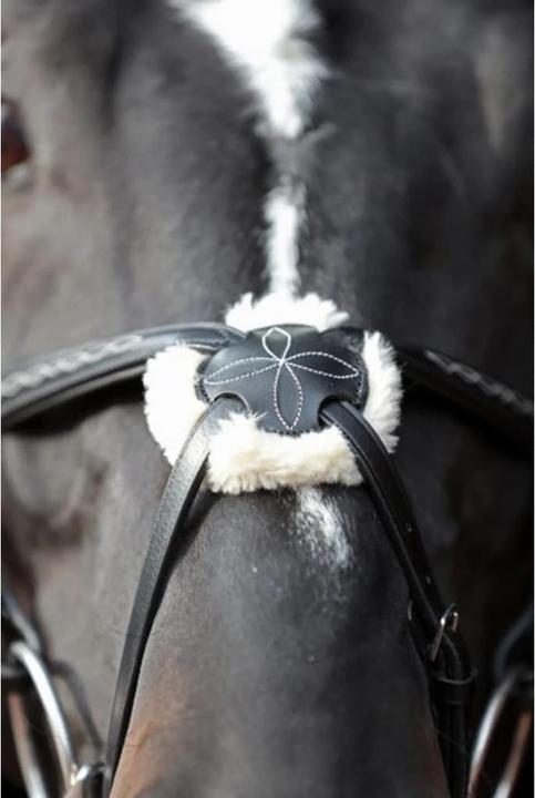 Actual product image Kerbl Snaffle bridle Cancun black, pony