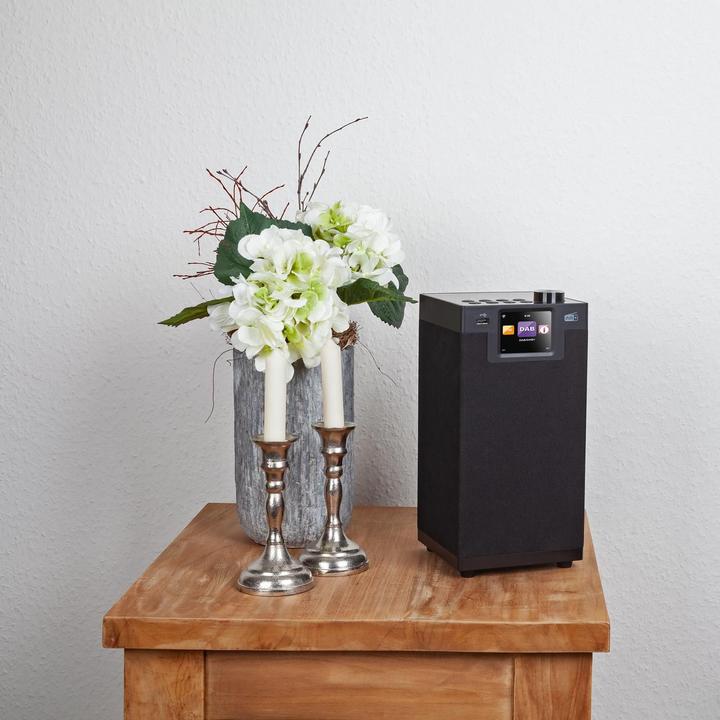 Actual product image Imperial Dabman i610 (Web radio, DAB+, VHF, FM, Bluetooth, Wi-Fi)