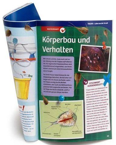 Produktbild Kosmos Triops-Aquarium