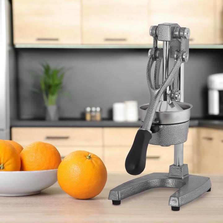 Image du produit Relaxdays Extracteur de jus