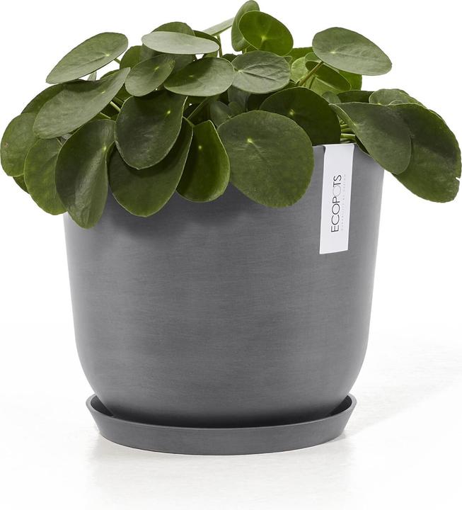 Actual product image Ecopots Saucer Round