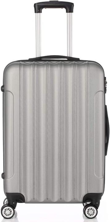 Image du produit Leadzm 4 rouleaux gris argenté (Bagage à main (jusqu'à 50l), M (50 - 90l), L (90 - 115l))
