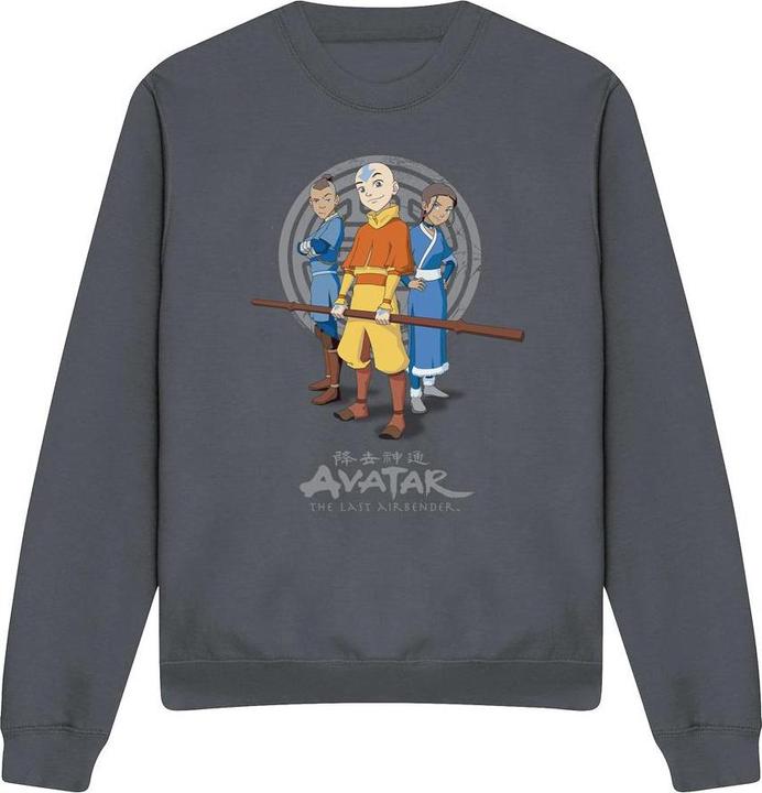 Produktbild Avatar: The Last Airbender Team Avatar Sweatshirt (XL)