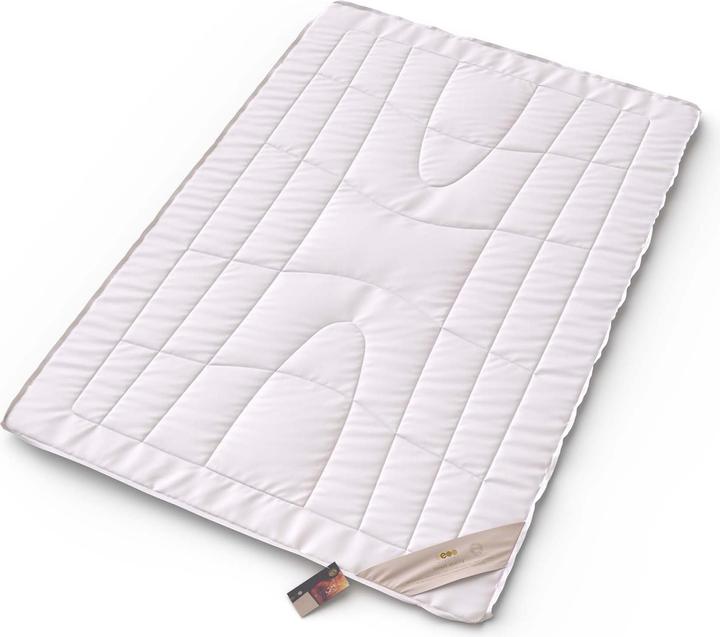 Immagine prodotto Erzstef Piumino Dubai in pelo di cammello (1400 g, 160 x 240 cm)