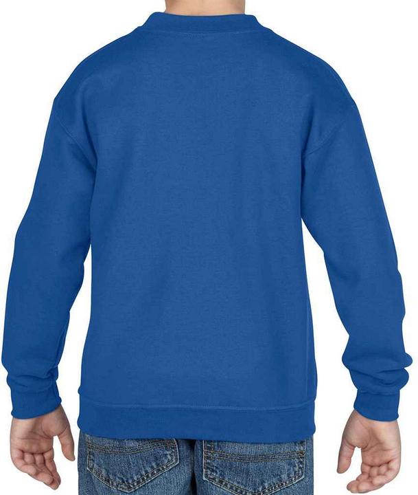 Actual product image Gildan Childrens/Kids Heavy Blend Drop Shoulder Sweatshirt (110)