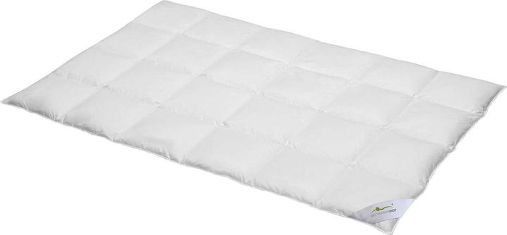 BettwarenShop Exclusive (1470 g, 240 x 220 cm)