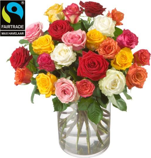 Fleurop Rosenstrauss (24 Rosen) mit kleinblütigen Fairtrade Max Havelaar-Rosen (inkl. persönliche Lieferung) (Schnittblumen)
