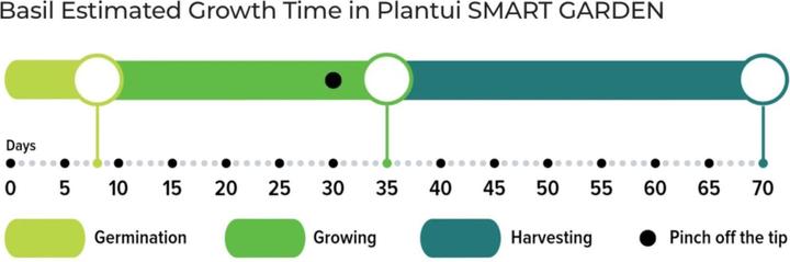 Immagine prodotto Plantui Basilico (Semi di erbe)