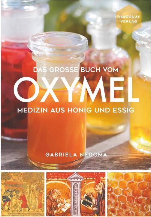 Produktbild Das grosse Buch vom OXYMEL (Deutsch, Gabriela Nedoma, 2019)