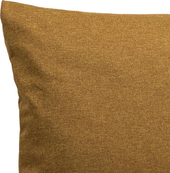 Produktbild Freistil Rolf Benz Freistil 160 (60 x 40 cm)