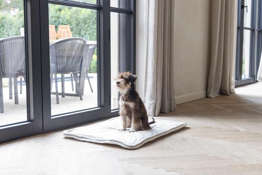 Productafbeelding Designed by Lotte Ligkussen Nalino (Hond)