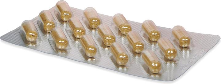 Produktbild Badkan TM plus Gelenke Knochen (150 Stück, Kapseln, 139 g)