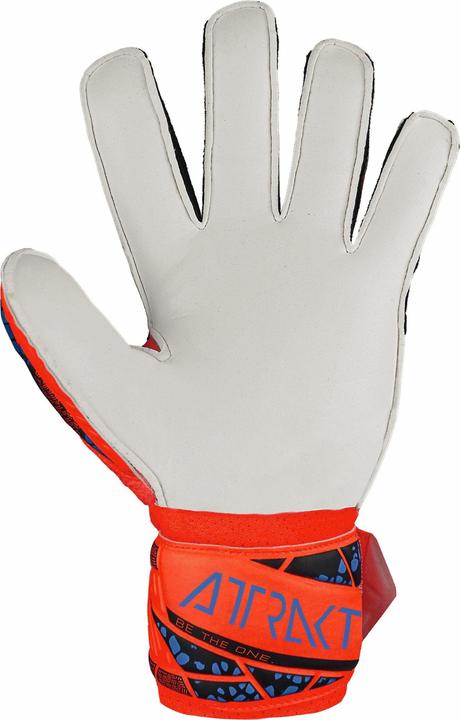 Image du produit Reusch Attrakt Solid (6)