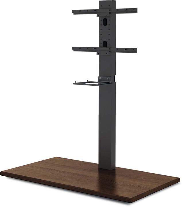 Actual product image TechniSat 2021/2796 Stand, wood, walnut
