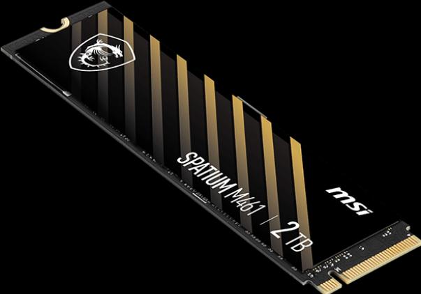 Actual product image MSI Spatium M461 (2000 GB, M.2 2280)