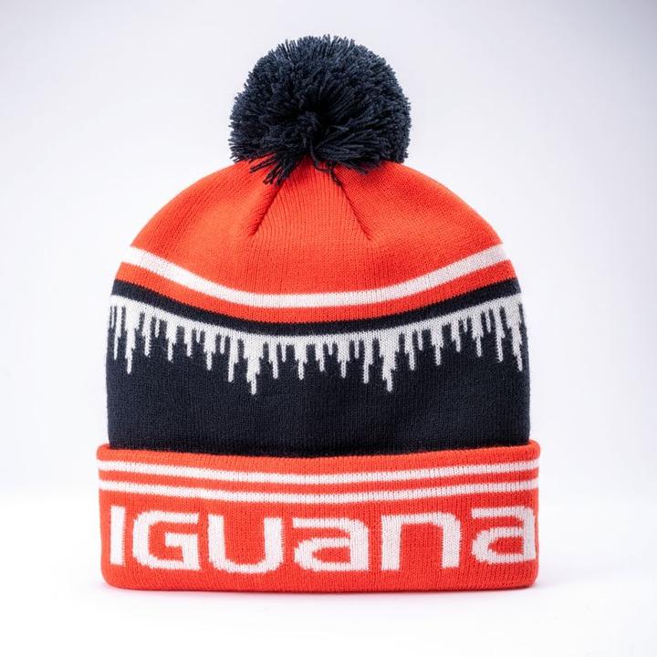 Actual product image Iguana Other cap