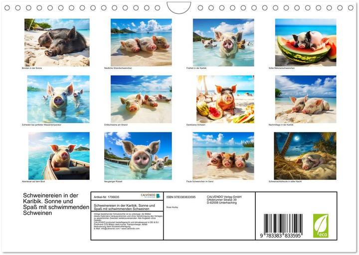 Actual product image Pigs in the Caribbean. Sun and spa with swimming pigs (Wall calendar 2025 DIN A (A4, No binding, German)