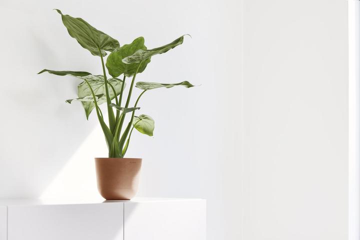 Produktbild Ecopots Oslo Mini (11.50 cm)