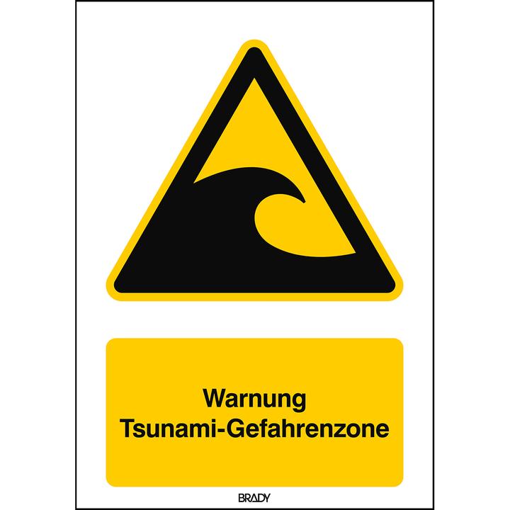 Actual product image Brady W/W056/DE364/ALU-297X420-1, ISO Safety labelling - Tsunami hazard zone warning