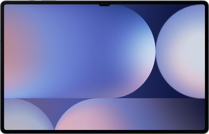 Samsung Galaxy Tab S10 Ultra (5G, 14.60", 1000 GB, Moonstone grey)