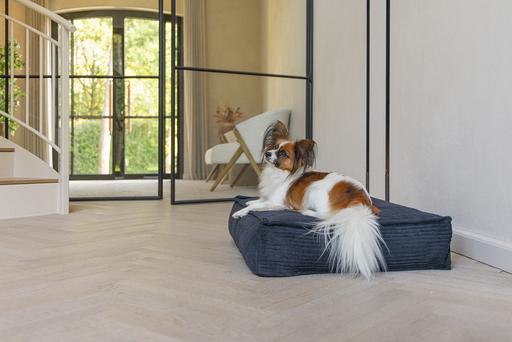 Image du produit Designed by Lotte Ribbed (Chien)