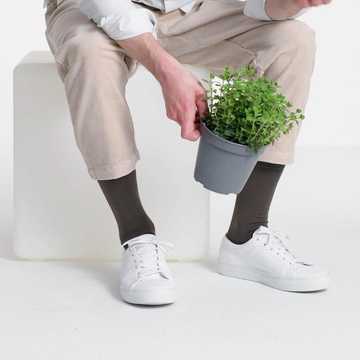 Actual product image Blacksocks Organic Comfort (Single pack, XL, 40 - 41)