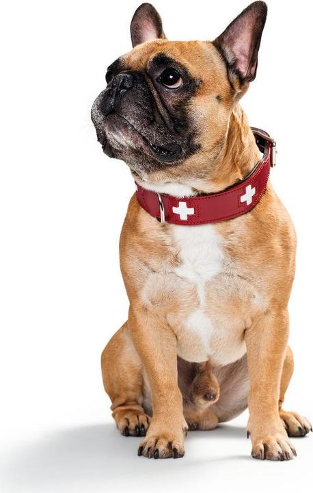 Image du produit Hunter Collier Swiss en cuir véritable (Chien, Général)