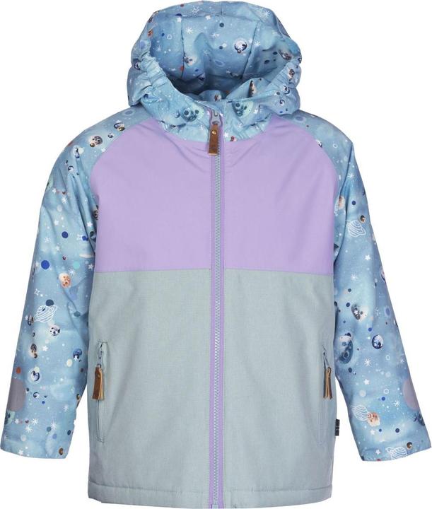 arctic galaxy print