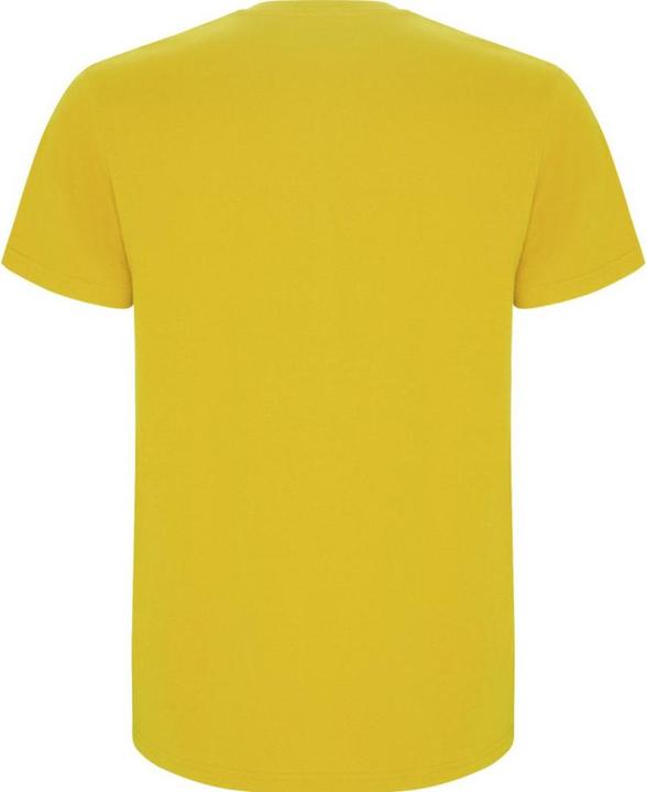 Actual product image Alpinia Mens Stafford T-Shirt (L)