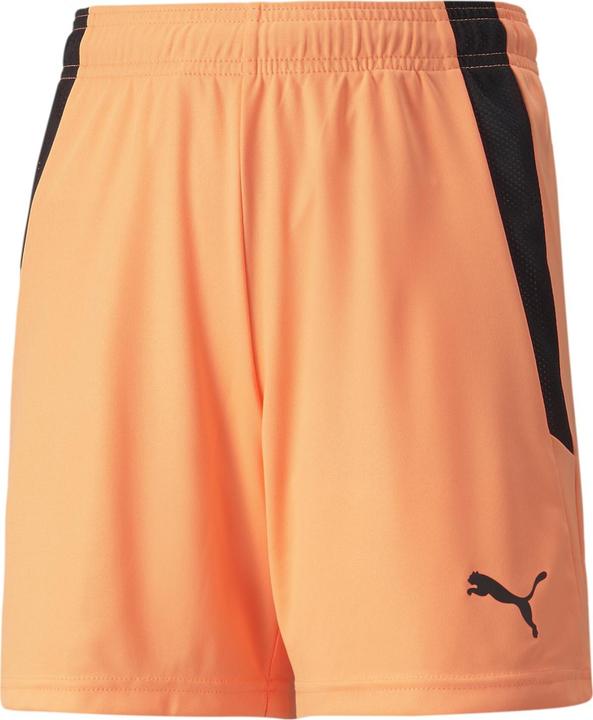 Image du produit Puma short teamLIGA Jr-704931 (164)