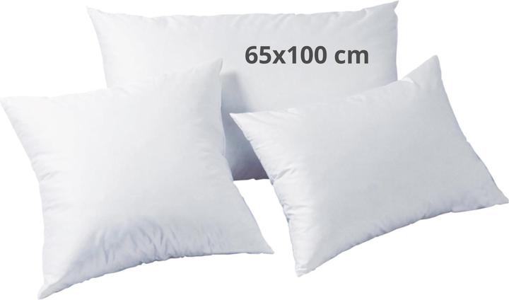Produktbild DOR Kuschelkissen (100 x 65 x 12 cm)