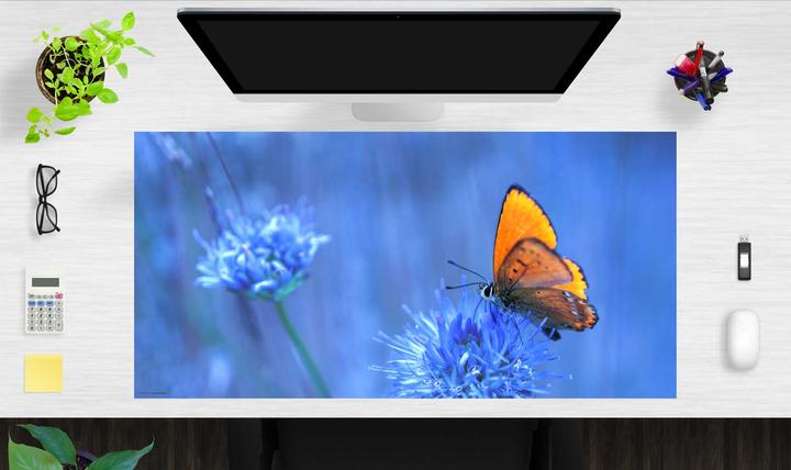 Produktbild CoverYourDesk Schreibtischunterlage Orangener Schmetterling