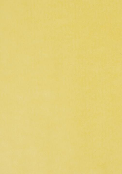 Image du produit Folia Papier transparent, (L)500 x (H)700 mm, 42 g/qm, couleur (42 g/m², 1 x)