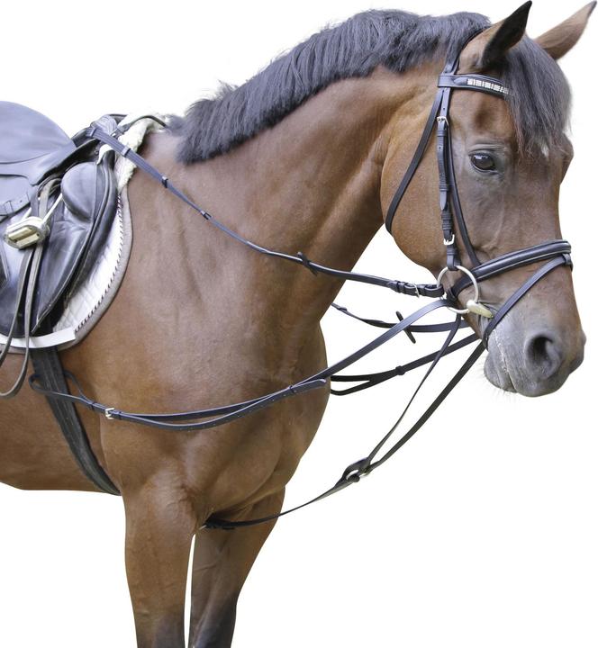 Kerbl Triangle reins