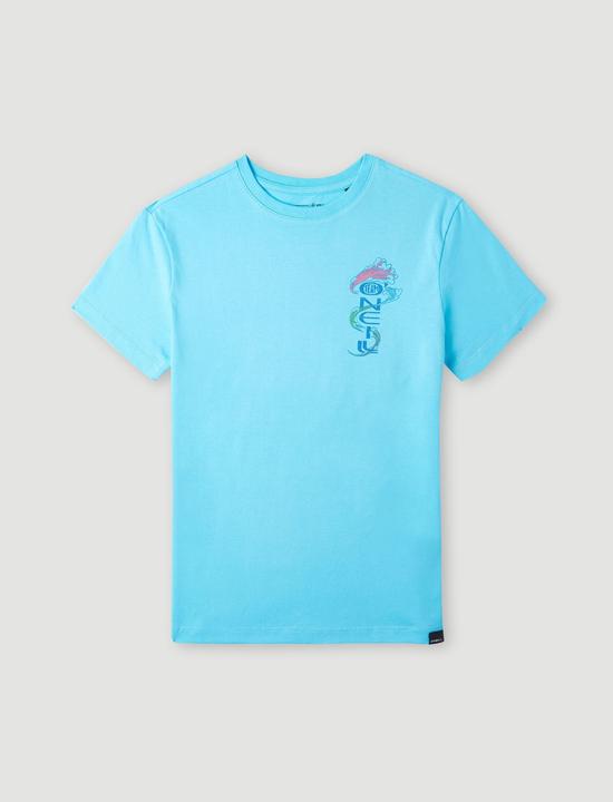 Produktbild O'Neill Team T-Shirt (140)