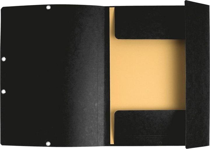 Actual product image Exacompta Rubber band folder (A4, 1 x)