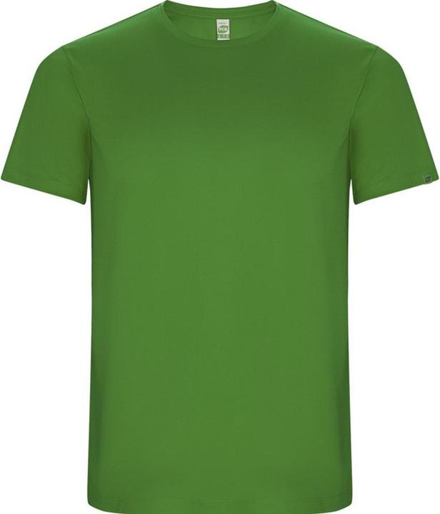 Verde felce