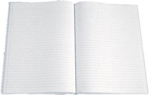Actual product image Simplex Business book 2 columns (80 x)