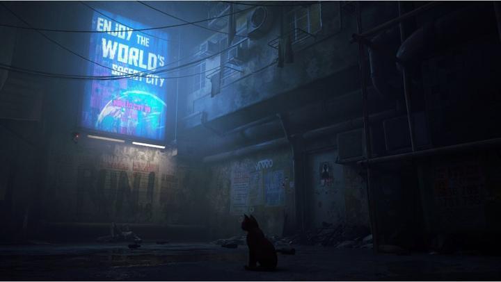 Actual product image Annapurna Interactive Stray (PS5, EN)