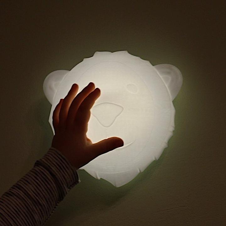 Actual product image Flow Amsterdam LED Björn