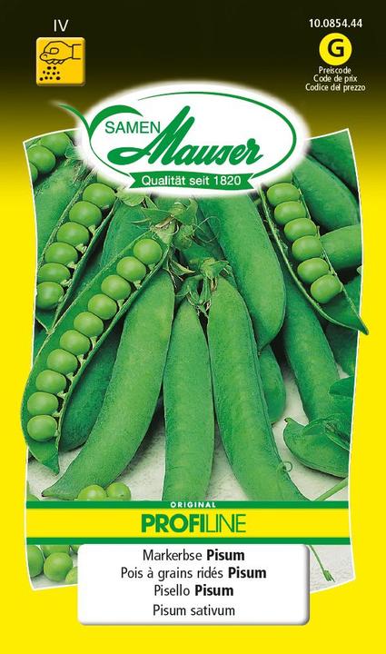 Samen Mauser Mark-Erbse Pisum Profiline (Gemüsesamen)