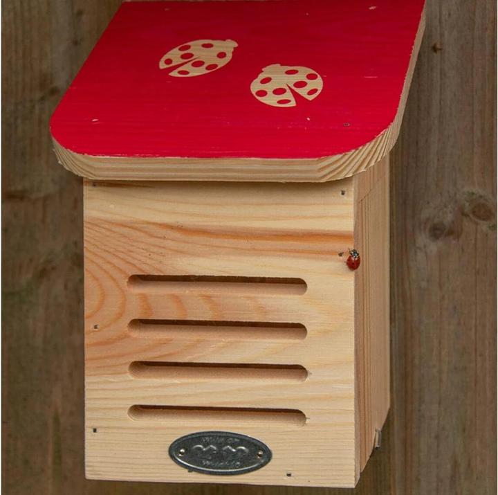 Actual product image Esschert Design Ladybird house (Ladybirds)